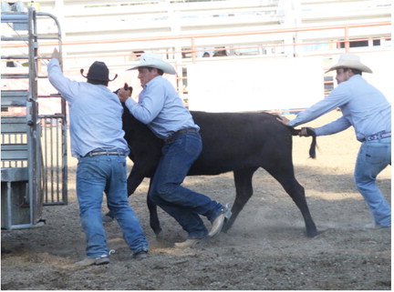 Wild Horse Stampede Ranch Rodeo Set For Wednesday Night