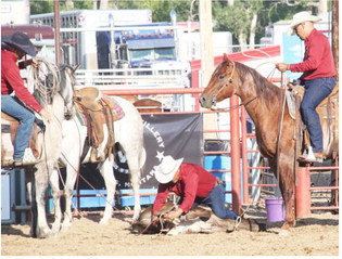 Steppler Ranch Fares Well At Ranch Rodeo