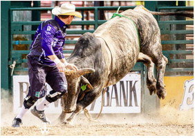 Harrell, Simmes Return As Bullfighters At Stampede