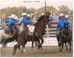 Wolf Point Stampede Week Kicks Off With Ranch Rodeo