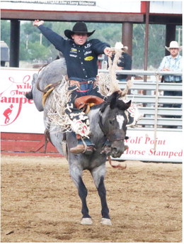 Wolf Point Wild Horse Stampede Rodeo Action