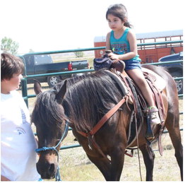 Animal Fun Day Attracts Crowd