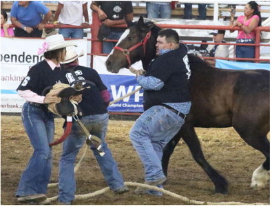 Williams Enjoys Wild Horse Races