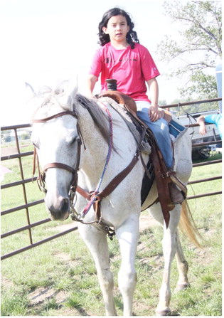 Horses To Help With Recovery Efforts
