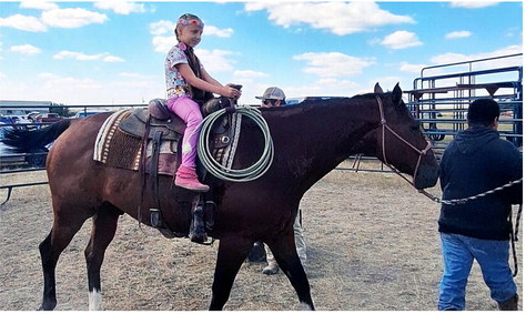Horsemanship clinic