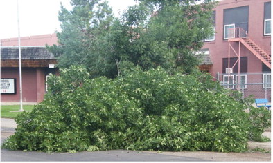 Storm Damage