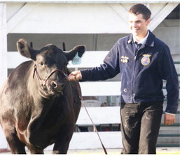 Hen:  Grand champion, Tenley ….