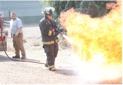 Dumpster Fire
