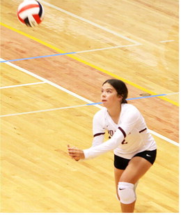 Wolves Open Volleyball Season