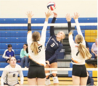 Bulldogs Take Third In Tournament