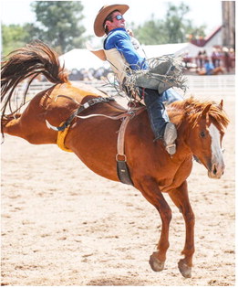 Brookman Rodeo Earns National Honor Brookman Rodeo Earns National Honor
