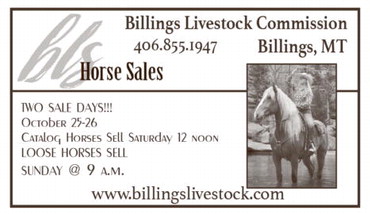 npid_101625_01_a_008_00_01_cc_art_2