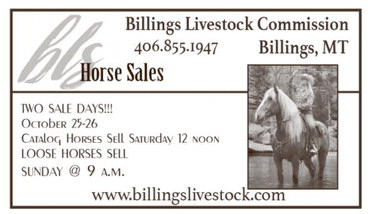 ccnw_101625_01_a_005_00_01_cc_art_4