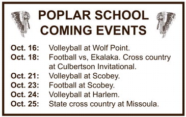 npid_101625_01_a_008_00_01_cc_art_7