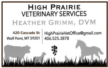 npid_100925_01_a_002_00_01_cc_art_7 npid_100925_01_a_002_00_01_cc_art_7