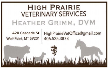 npid_111325_01_a_009_00_01_cc_art_6