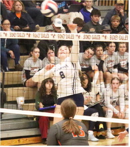 Bainville Takes Fifth Place At Divisional Tournament