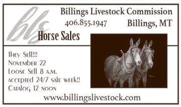 npid_111325_01_a_008_00_01_cc_art_8