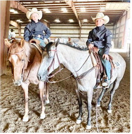 Working Ranch Horse Program Working Ranch Horse Program