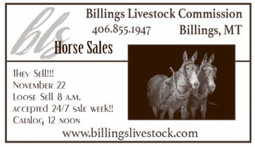 ccnw_111325_01_a_003_00_01_cc_art_5