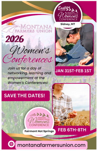 npid_111325_01_a_008_00_01_cc_art_9