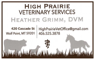 npid_121825_01_a_007_00_01_cc_art_7