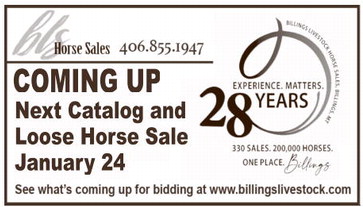 npid_121825_01_a_008_00_01_cc_art_10