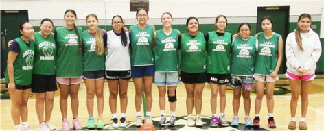 Brockton Girls Aim To Compete For Divisional Tourney Berth