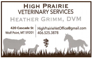 npid_121125_01_a_007_00_01_cc_art_5