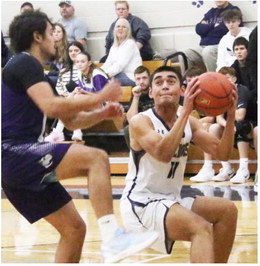 Bulldogs Fall To Terry