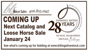 ccnw_121825_01_a_003_00_01_cc_art_15