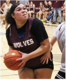 Lady Wolves Look To Contend In District 2B Race