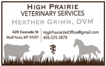 npid_011526_01_a_008_00_01_cc_art_11