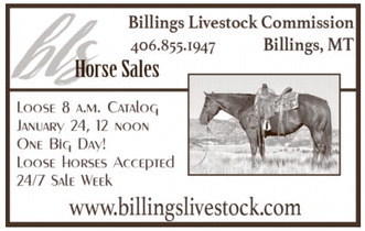 npid_011526_01_a_008_00_01_cc_art_8 npid_011526_01_a_008_00_01_cc_art_8