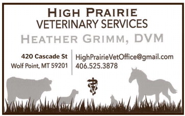 npid_012926_01_a_008_00_01_cc_art_12