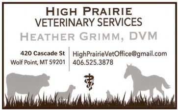 npid_012226_01_a_008_00_01_cc_art_8