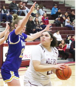 Lady Wolves Fall To Fairview Lady Wolves Fall To Fairview