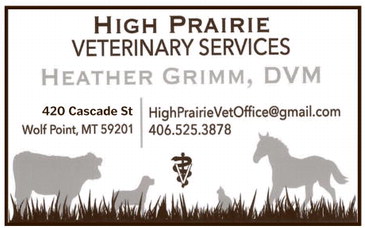 npid_010826_01_a_008_00_01_cc_art_8