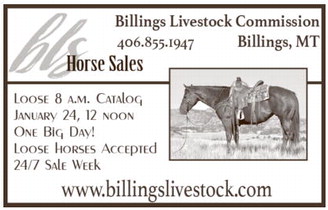 communitynews_20260115_hel_ccnw_011526_01_a_004_00_01_cc.001_art_10.xml