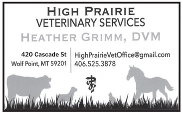 npid_022626_01_a_002_00_01_cc_art_8