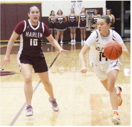 Lady Wolves Fall Against Harlem