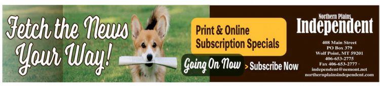 npid_020526_01_a_009_00_01_cc_art_8