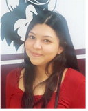 Grey Bull Likes Working, Debating