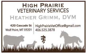 npid_021926_01_a_008_00_01_cc_art_7