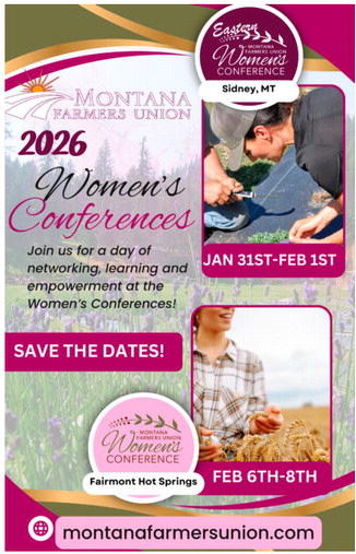 ccnw_020526_01_a_003_00_01_cc_art_6