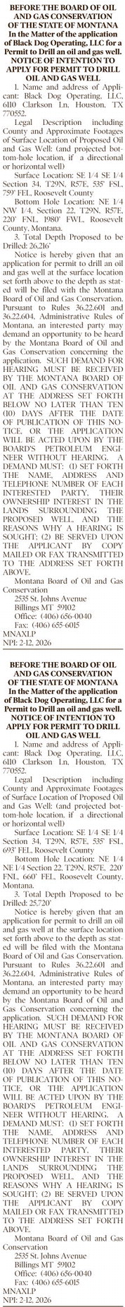 npid_021226_01_a_013_00_01_cc_art_11