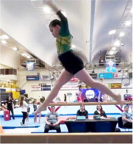 Area Gymnasts Place At Jamestown, Billings Meets