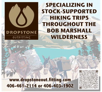 npid_032826_01_a_008_00_01_cc_art_8