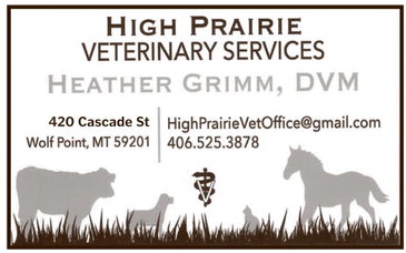 npid_030526_01_a_008_00_01_cc_art_2