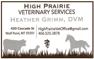 npid_032826_01_a_007_00_01_cc_art_5